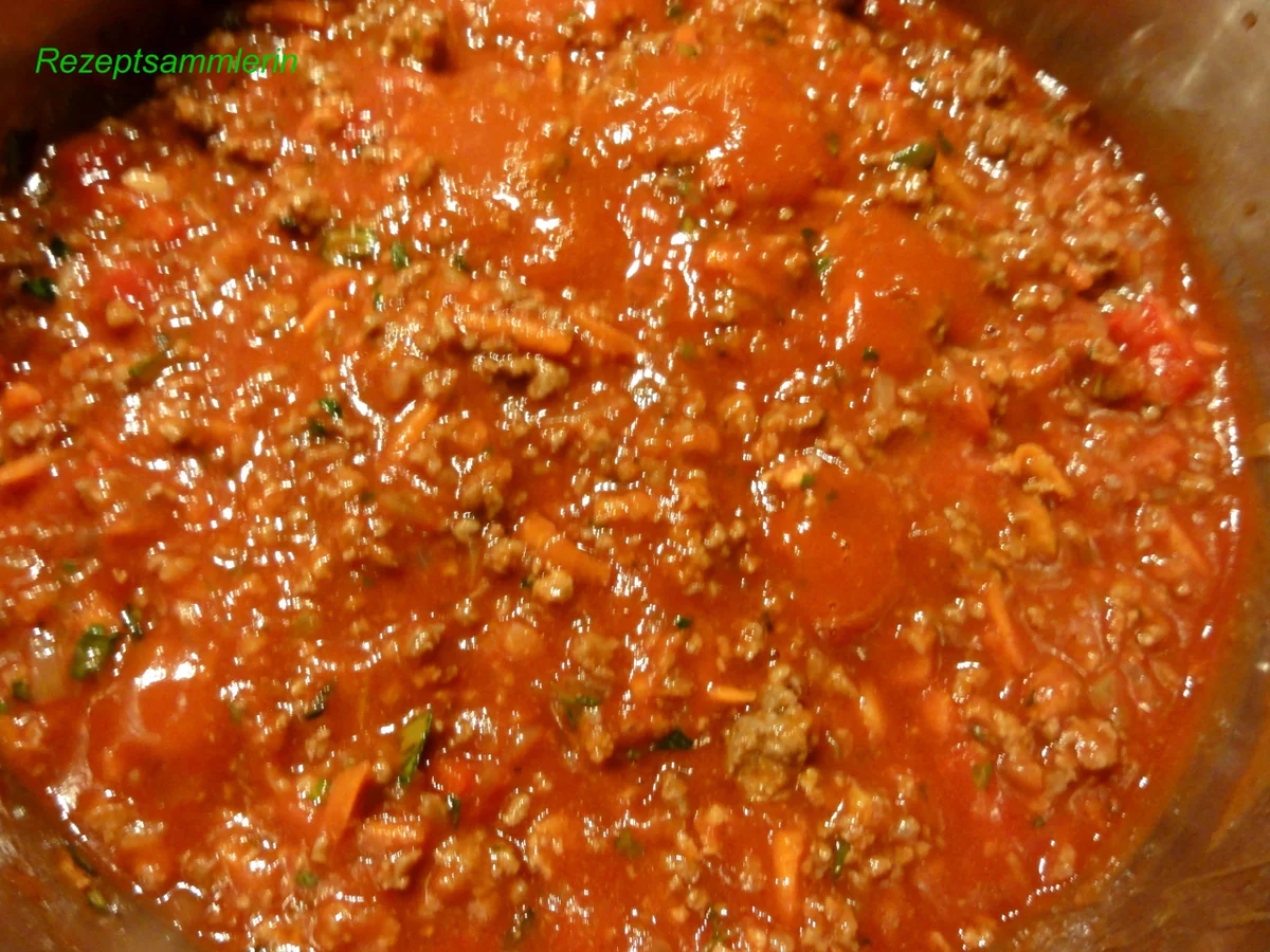 Rezept: Sauce: BOLOGNESE Bild Nr. 1915 Sauce: BOLOGNESE - Rezept - Bild Nr. 1915