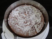 Rezept: Mandarinen-Torte glutenfrei Bild Nr. 1907 Mandarinen-Torte glutenfrei - Rezept - Bild Nr. 1907
