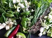 Tomaten Mais Chili Dip - Rezept - Bild Nr. 1908