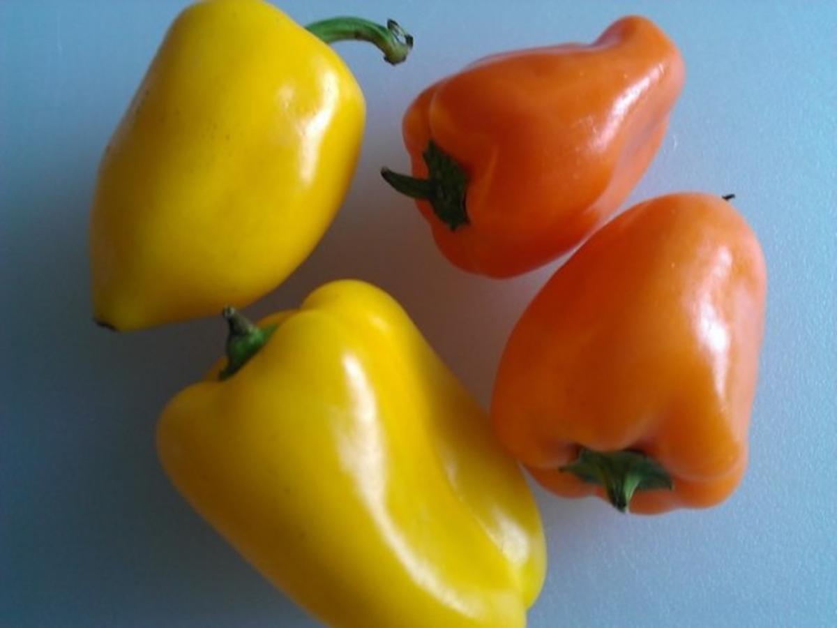 Tomaten Mais Chili Dip - Rezept - Bild Nr. 1910