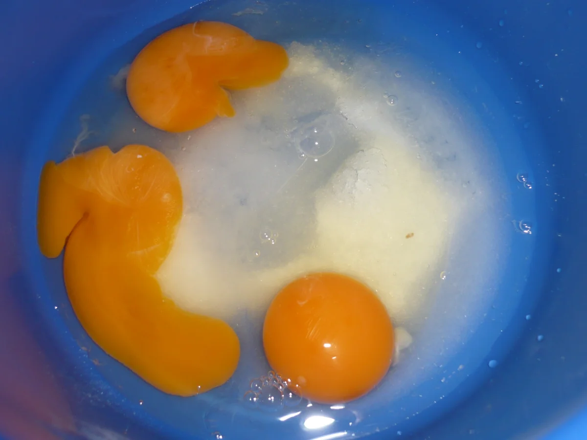 Rezept: Schokokuss - Torte Bild Nr. 1920 Schokokuss - Torte - Rezept - Bild Nr. 1920