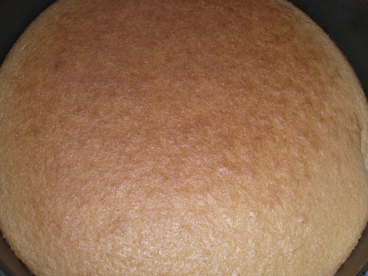 Rezept: Schokokuss - Torte Bild Nr. 1922 Schokokuss - Torte - Rezept - Bild Nr. 1922