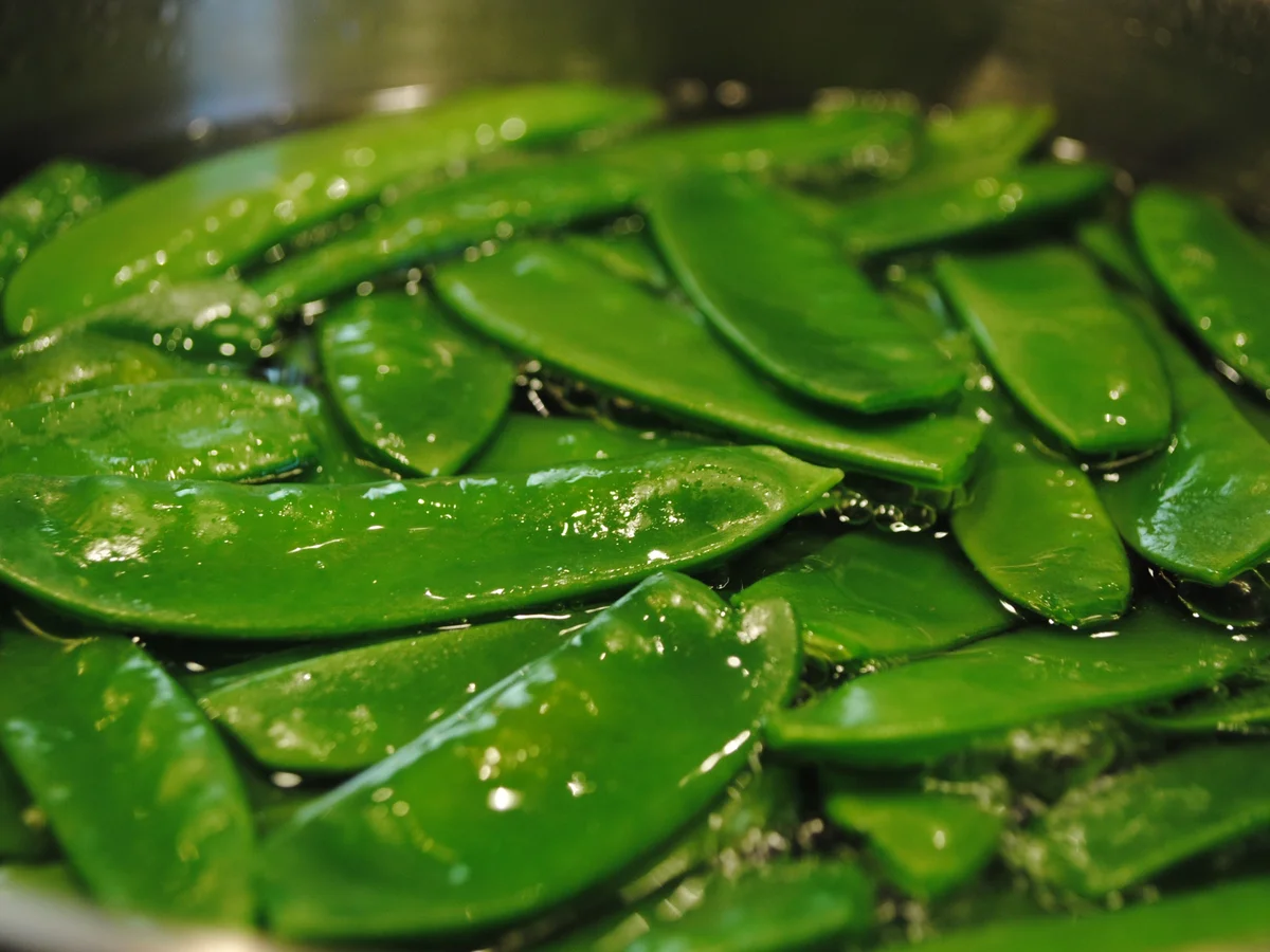 Rezept: Sous vide gegarter Schweinebauch vom Duke of Berkshire Bild Nr. 1944 Sous vide gegarter Schweinebauch vom Duke of Berkshire - Rezept - Bild Nr. 1944