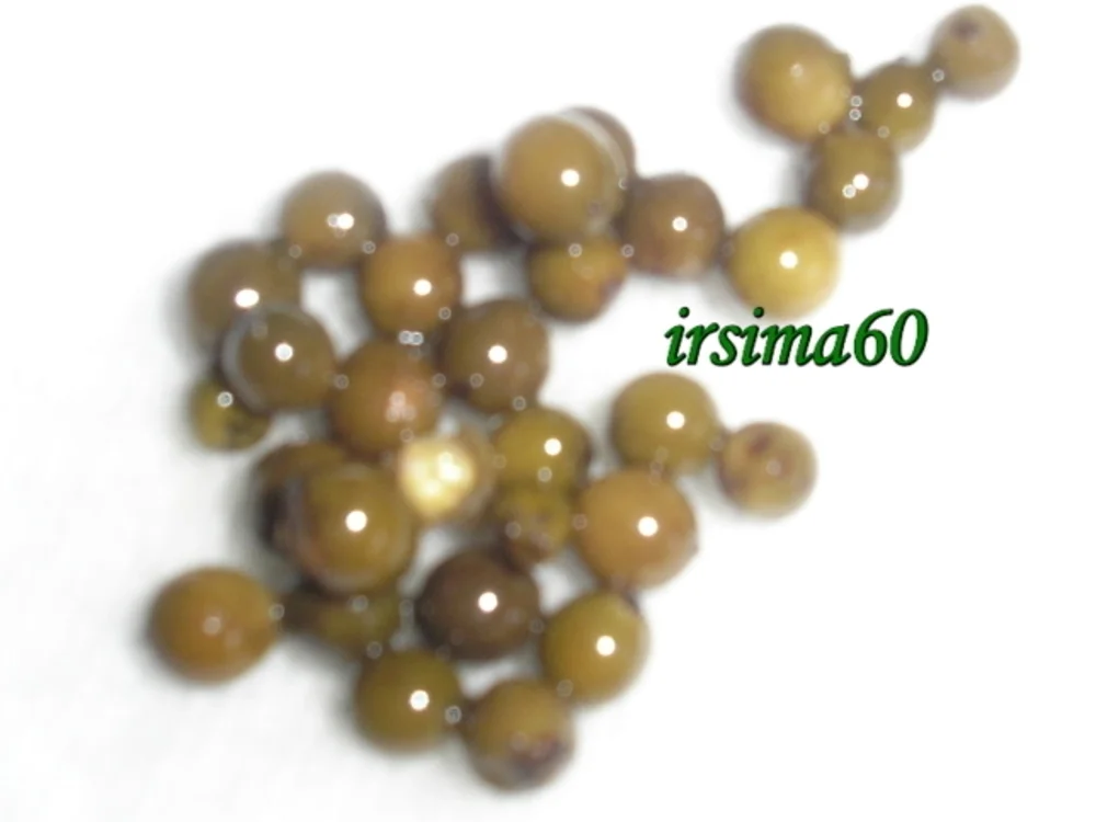 Rezept: Aprikosenmarmelade mit grünem Pfeffer Bild Nr. 6 Aprikosenmarmelade mit grünem Pfeffer - Rezept - Bild Nr. 6