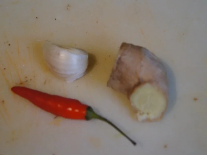 Putenbrust mit 9 Gemüsearten - Rezept - Bild Nr. 1940