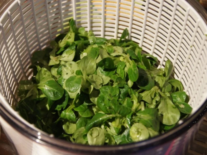 Feldsalat mit Rote Bete - Rezept - Bild Nr. 1943