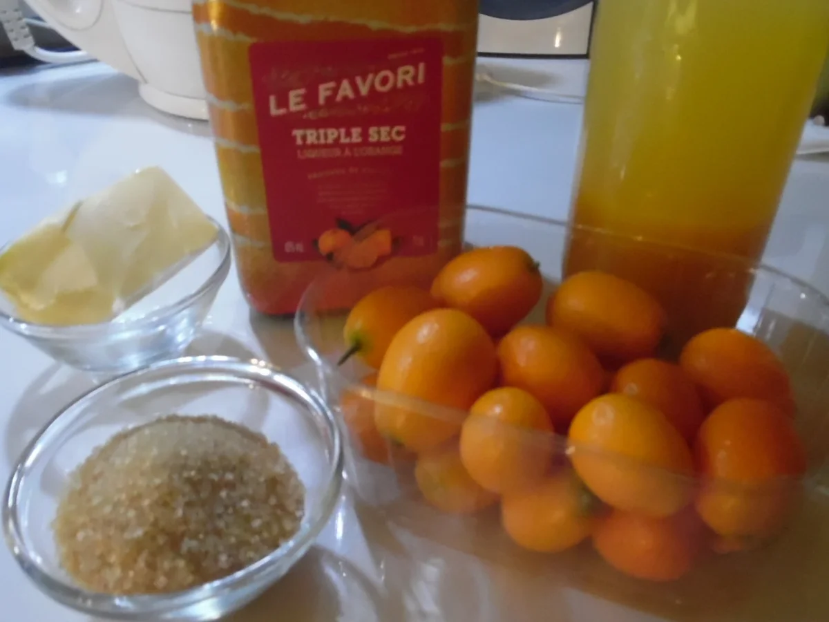 Barbarie-Entenbrust a l'orange mit frittierten Reisbällchen - Rezept - Bild Nr. 1942