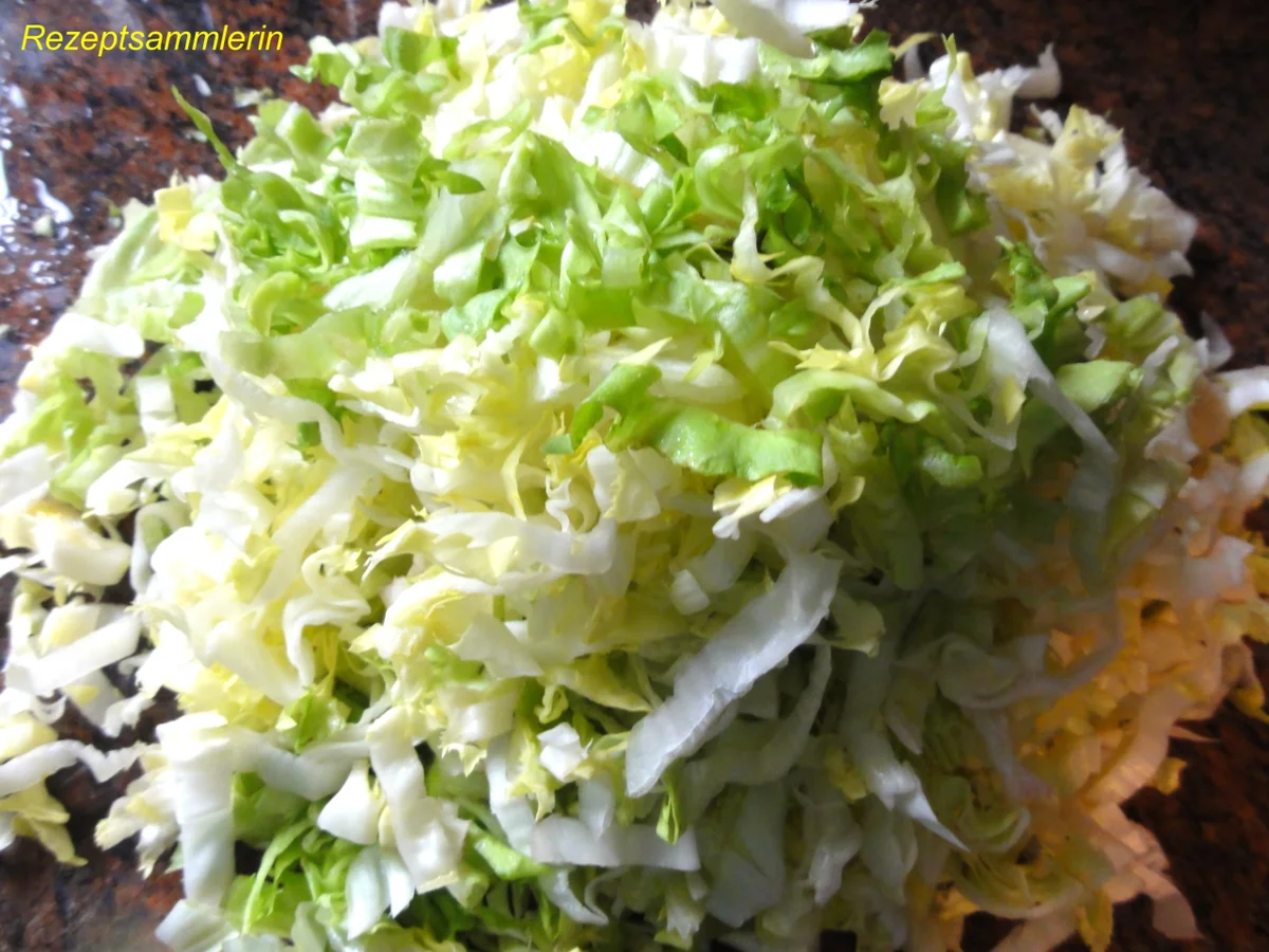 Rezept: Salatbar: ENDIVIEN ~ SALAT (ESCARIOL) Bild Nr. 1942 Salatbar: ENDIVIEN ~ SALAT (ESCARIOL) - Rezept - Bild Nr. 1942