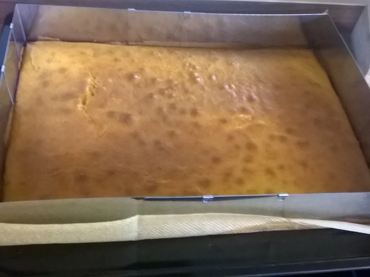 Rezept: Eiskönigin Elsa Frozen Torte Bild Nr. 1987 Eiskönigin Elsa Frozen Torte - Rezept - Bild Nr. 1987