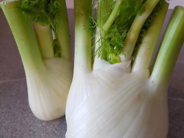 Rezept: Gebratener Fenchel und Rote Bete Bild Nr. 1988 Gebratener Fenchel und Rote Bete - Rezept - Bild Nr. 1988