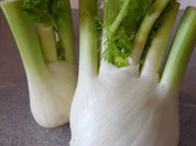 Gebratener Fenchel und Rote Bete - Rezept - Bild Nr. 1988