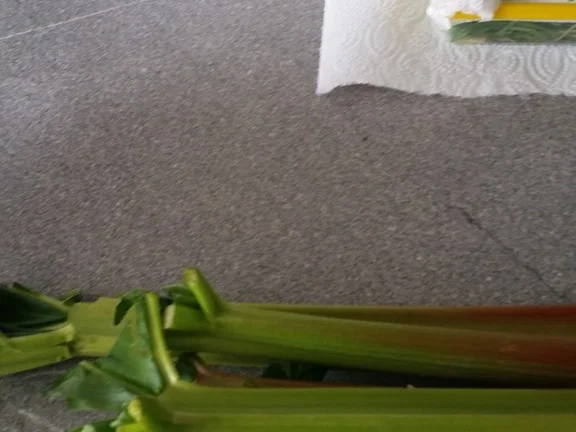 Rezept: Rhabarberkuchen (Gugelhupf Ø 22 cm) Bild Nr. 1996 Rhabarberkuchen (Gugelhupf Ø 22 cm) - Rezept - Bild Nr. 1996