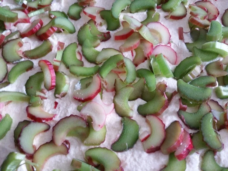 Rezept: Rhabarberkuchen (Gugelhupf Ø 22 cm) Bild Nr. 1998 Rhabarberkuchen (Gugelhupf Ø 22 cm) - Rezept - Bild Nr. 1998