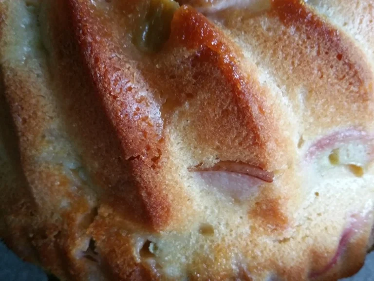 Rezept: Rhabarberkuchen (Gugelhupf Ø 22 cm) Bild Nr. 2002 Rhabarberkuchen (Gugelhupf Ø 22 cm) - Rezept - Bild Nr. 2002