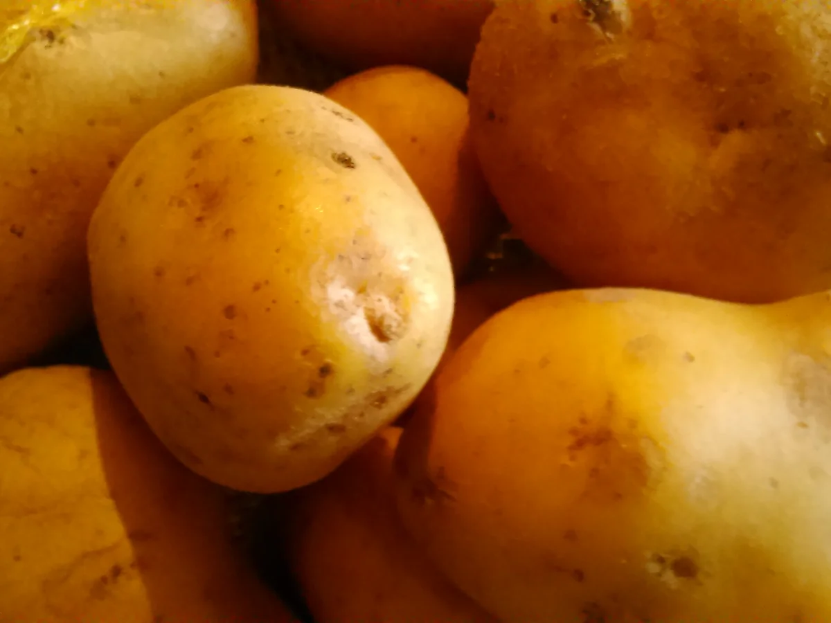 Kartoffelwaffeln - Rezept - Bild Nr. 2007