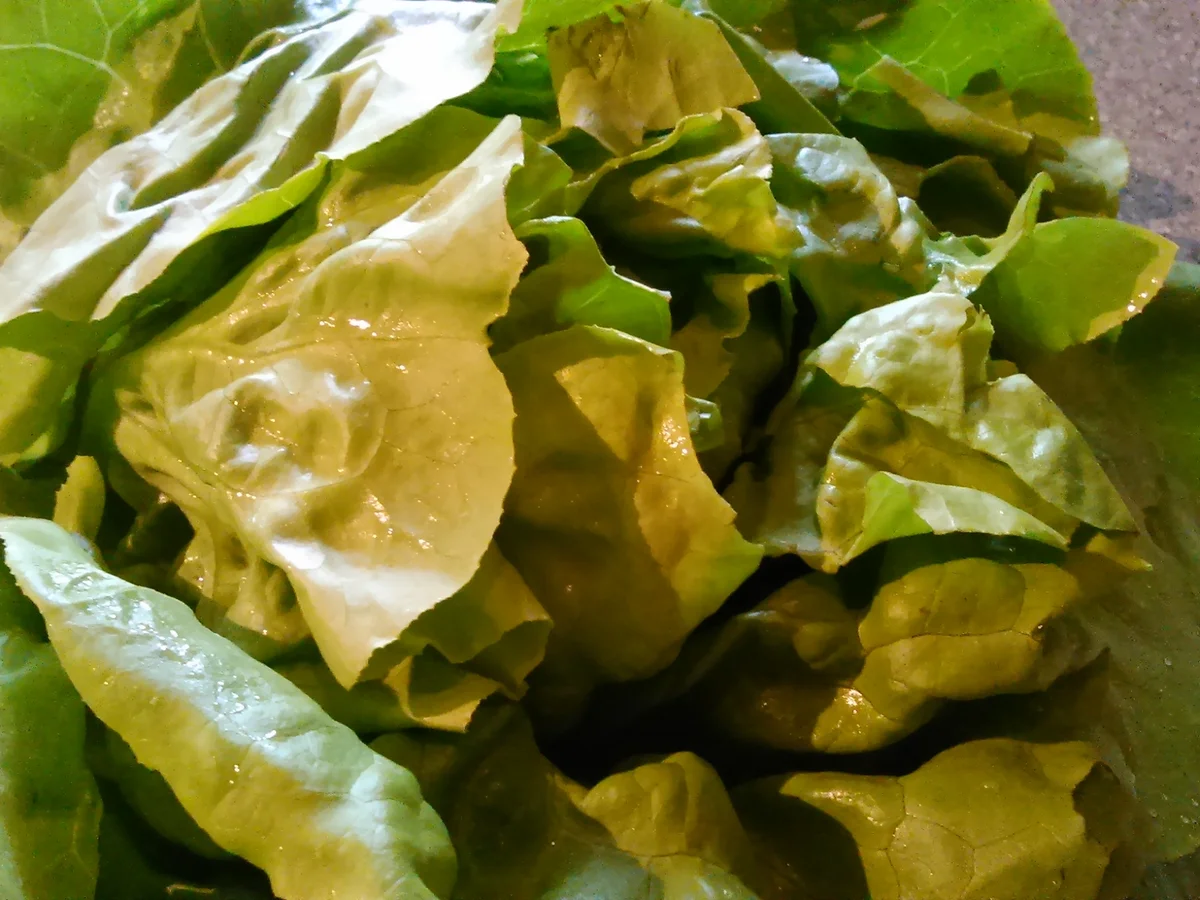 Kartoffelwaffeln - Rezept - Bild Nr. 2008