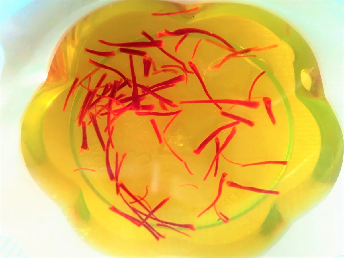 Lachs- Flusskrebs- Sauce nach Ana´s Art - Rezept - Bild Nr. 2035