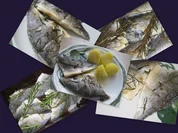 Dorade aus Bräter-Auflaufform - Rezept - Bild Nr. 2043