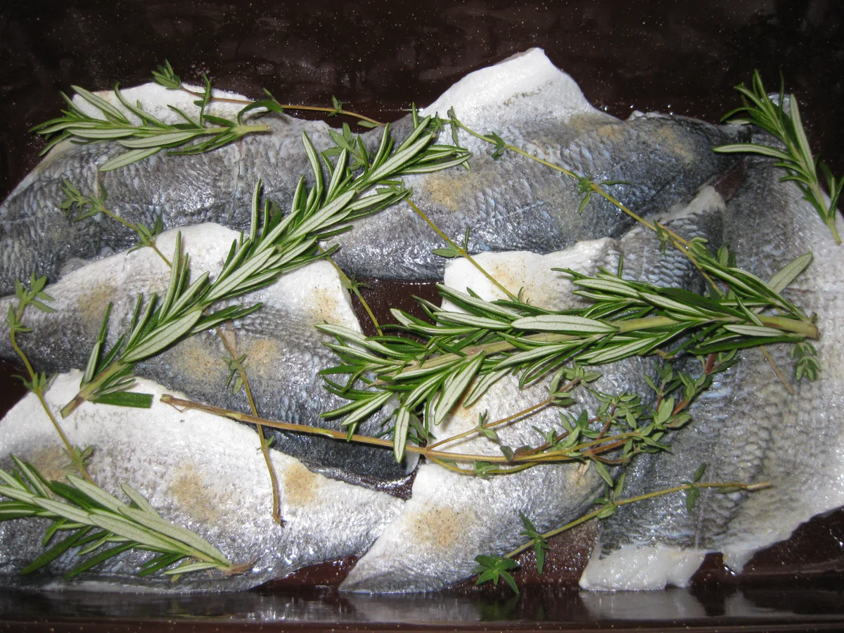 Dorade aus Bräter-Auflaufform - Rezept - Bild Nr. 2044
