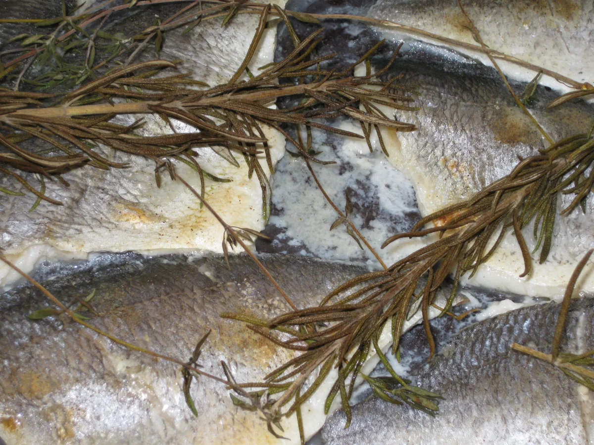 Dorade aus Bräter-Auflaufform - Rezept - Bild Nr. 2045