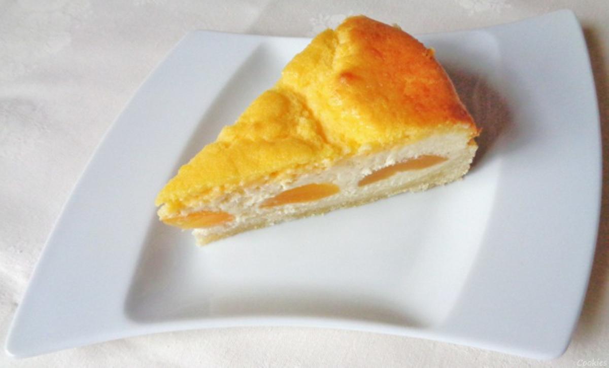 Aprikosen - Käse - Kuchen mit Eierschecke ... - Rezept - Bild Nr. 2060