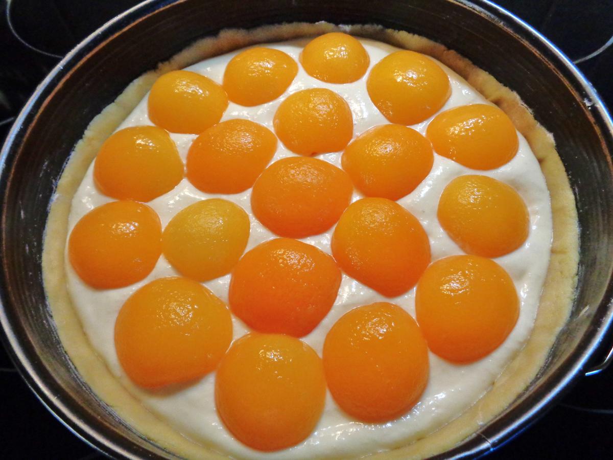 Aprikosen - Käse - Kuchen mit Eierschecke ... - Rezept - Bild Nr. 2060