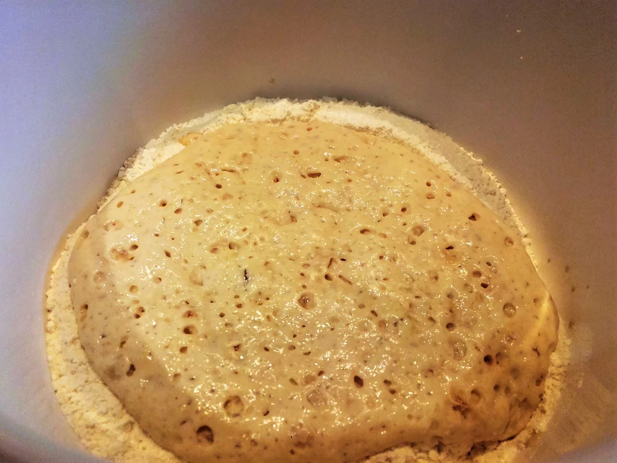 Malassadas- Traditionelles Karnevalsgebäck - Rezept - Bild Nr. 2063