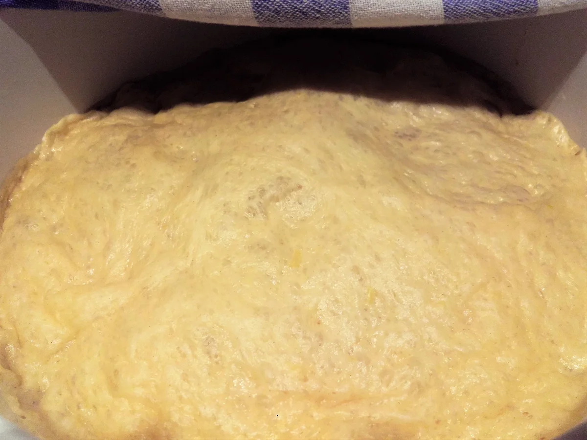 Malassadas- Traditionelles Karnevalsgebäck - Rezept - Bild Nr. 2066