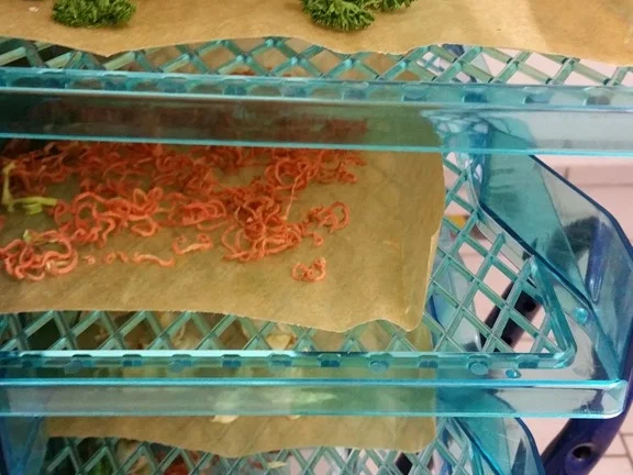 Biggi`s Allround Gewürzmischung - Rezept - Bild Nr. 2082