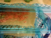 Biggi`s Allround Gewürzmischung - Rezept - Bild Nr. 2082