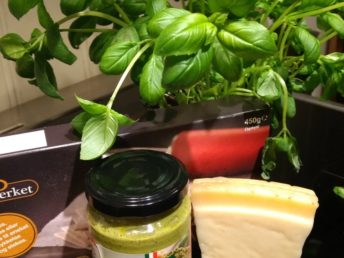 BiNe` S PESTO BLÄTTERTEIGSTANGEN - Rezept - Bild Nr. 2102