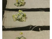 BiNe` S FILOTEIGRÖLLCHEN - Rezept - Bild Nr. 8