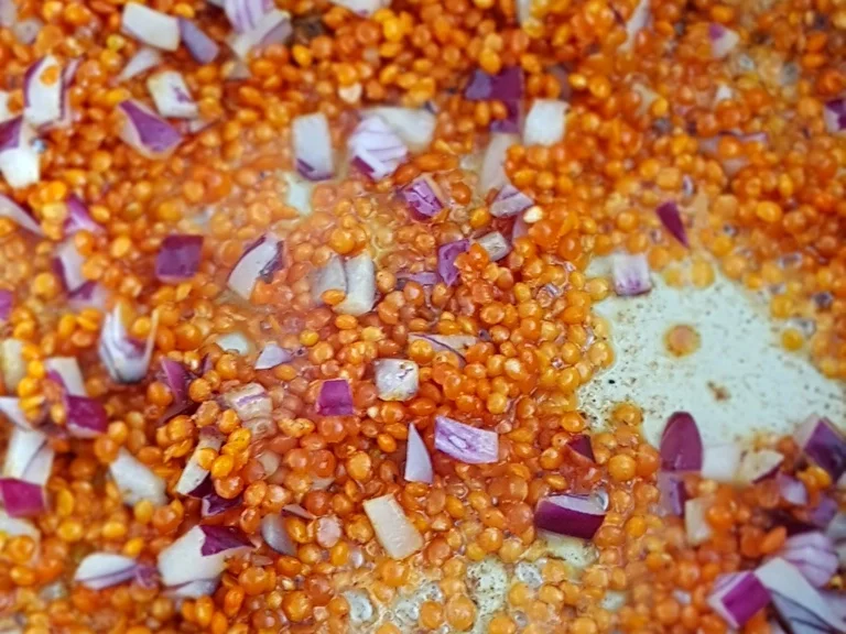 Rezept: Lauwarmer roter Linsensalat Bild Nr. 2088 Lauwarmer roter Linsensalat - Rezept - Bild Nr. 2088