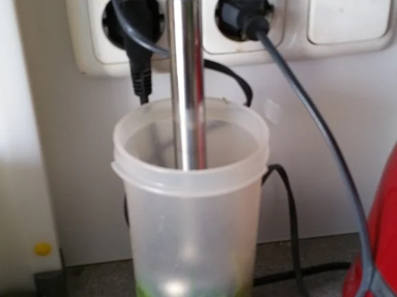 Spinat Pesto mit zitroniger Ergänzung - Rezept - Bild Nr. 2092