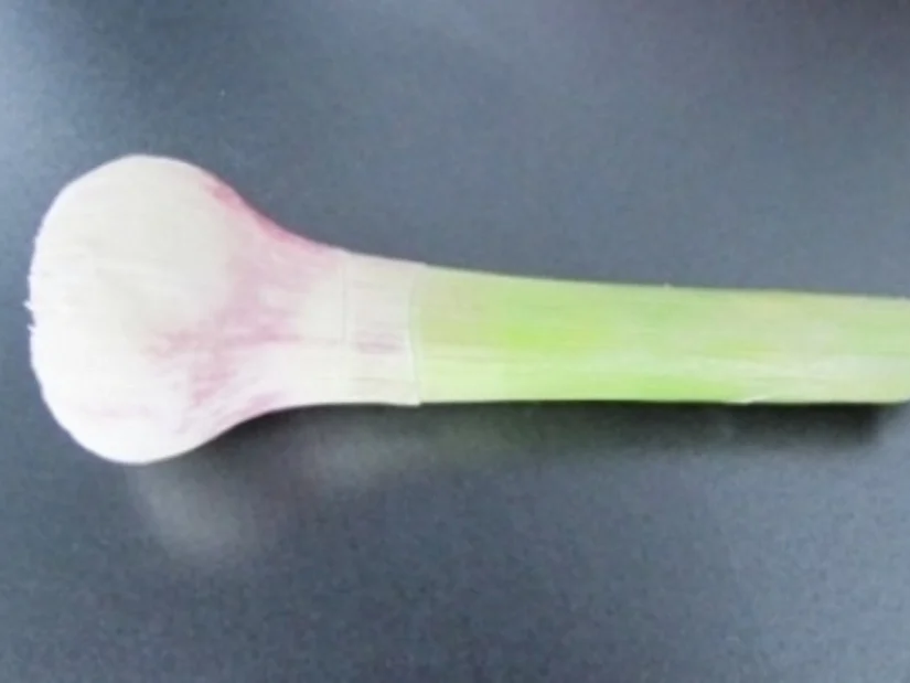 Biggi`s scharfe Zutat ist bester Chili - Rezept - Bild Nr. 2089