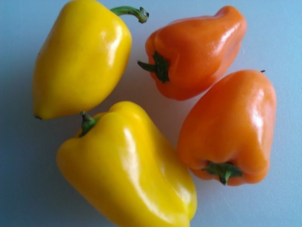 Biggi`s scharfe Zutat ist bester Chili - Rezept - Bild Nr. 2090