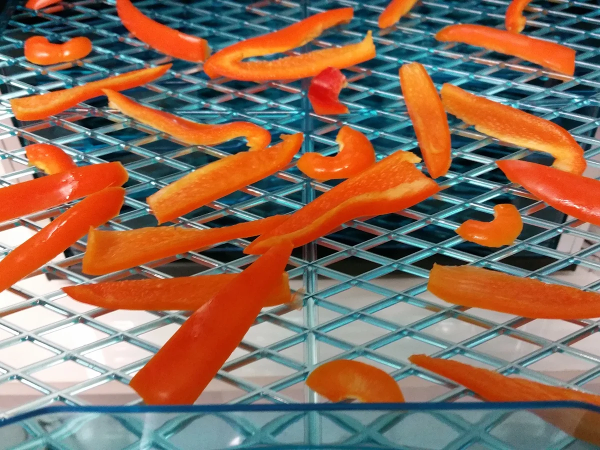 Biggi`s scharfe Zutat ist bester Chili - Rezept - Bild Nr. 2092