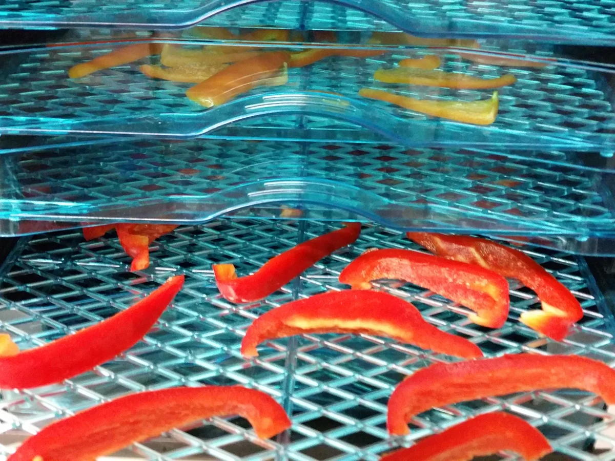 Biggi`s scharfe Zutat ist bester Chili - Rezept - Bild Nr. 2093