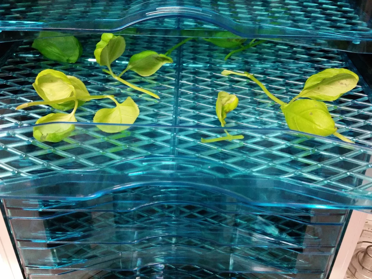 Biggi`s scharfe Zutat ist bester Chili - Rezept - Bild Nr. 2094