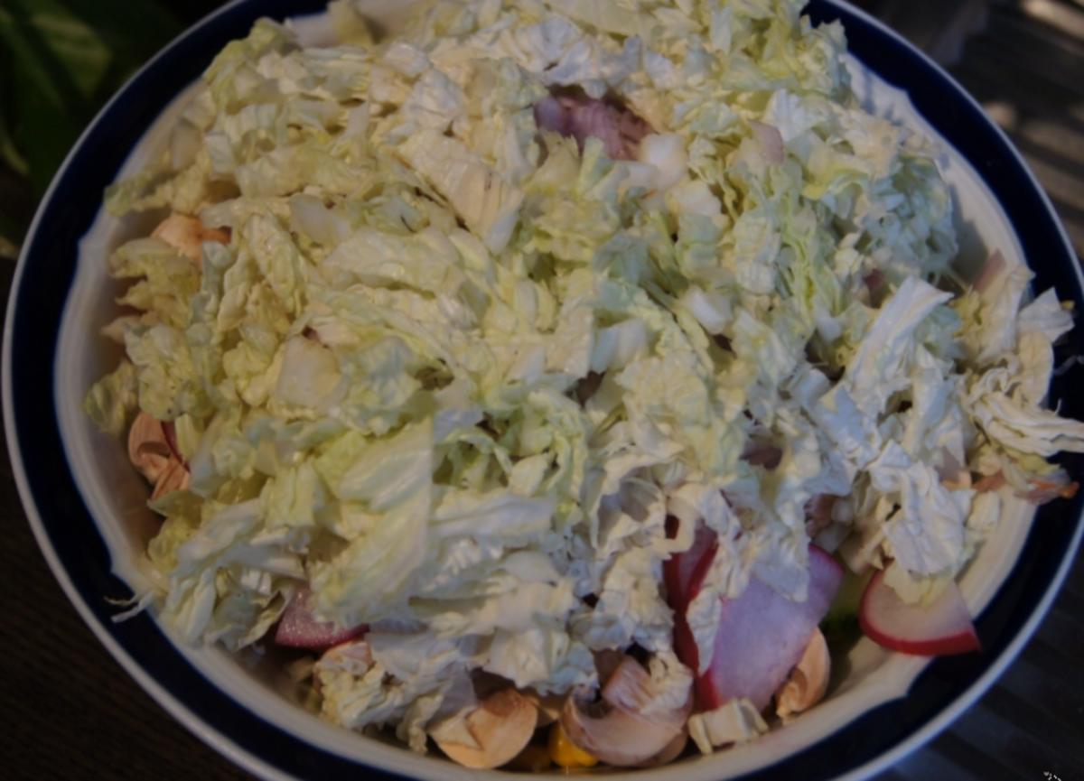 Gemischter Salat mit Soja-Essig-Dressing und Party Garnelen - Rezept - Bild Nr. 2104