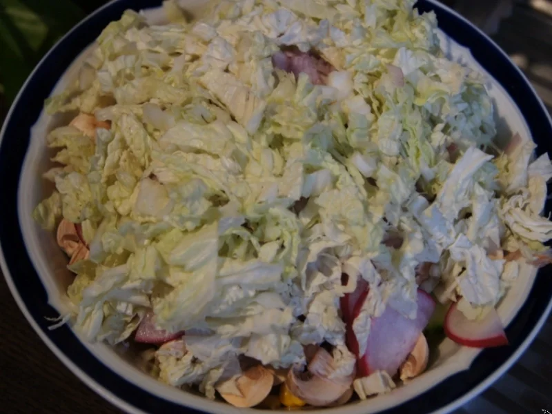 Gemischter Salat mit Soja-Essig-Dressing und Party Garnelen - Rezept - Bild Nr. 2104