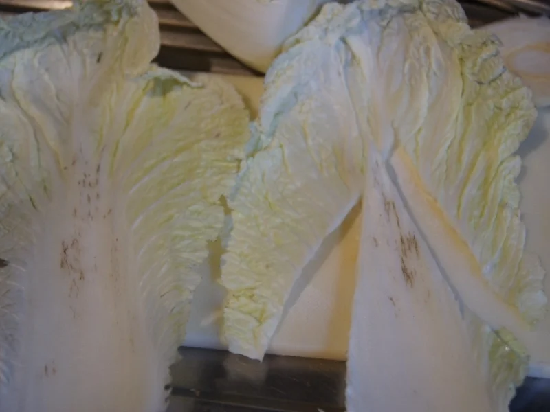 Gemischter Salat mit Soja-Essig-Dressing und Party Garnelen - Rezept - Bild Nr. 2106