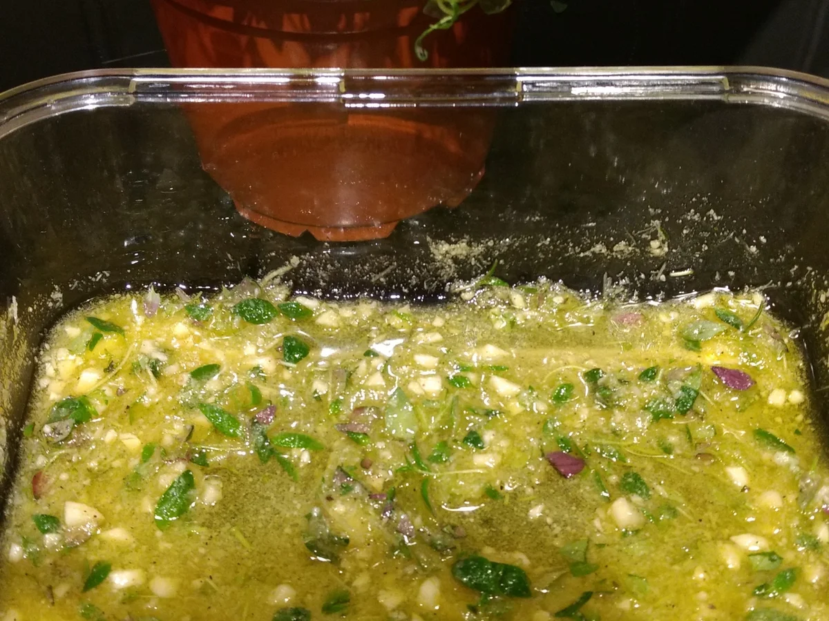 BiNe` S THYMIAN PARMESAN MÖHREN - Rezept - Bild Nr. 3