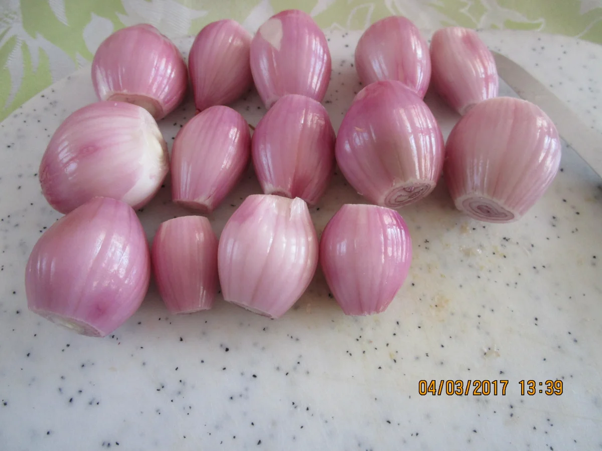 Ein Gourmettopf der besonderen Art - Rezept - Bild Nr. 2164