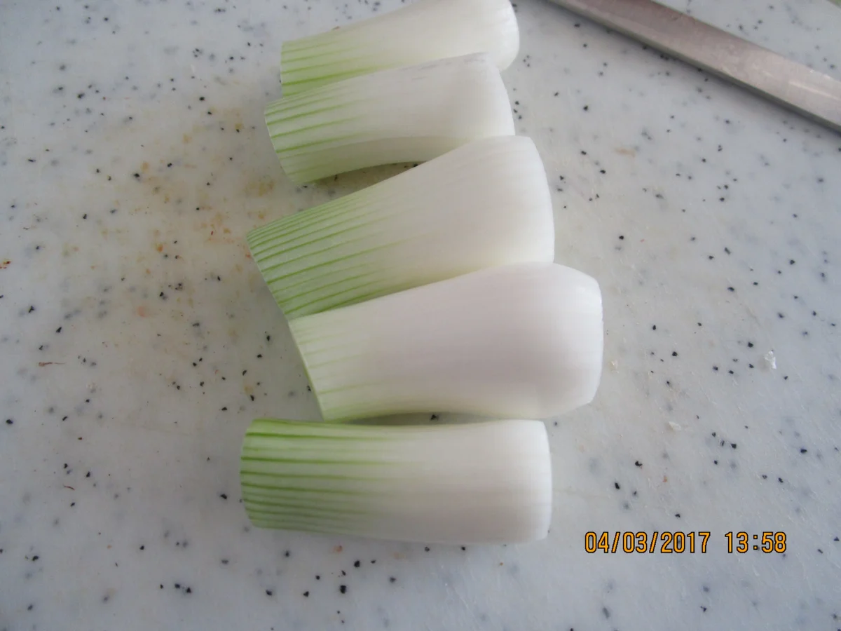 Ein Gourmettopf der besonderen Art - Rezept - Bild Nr. 2166