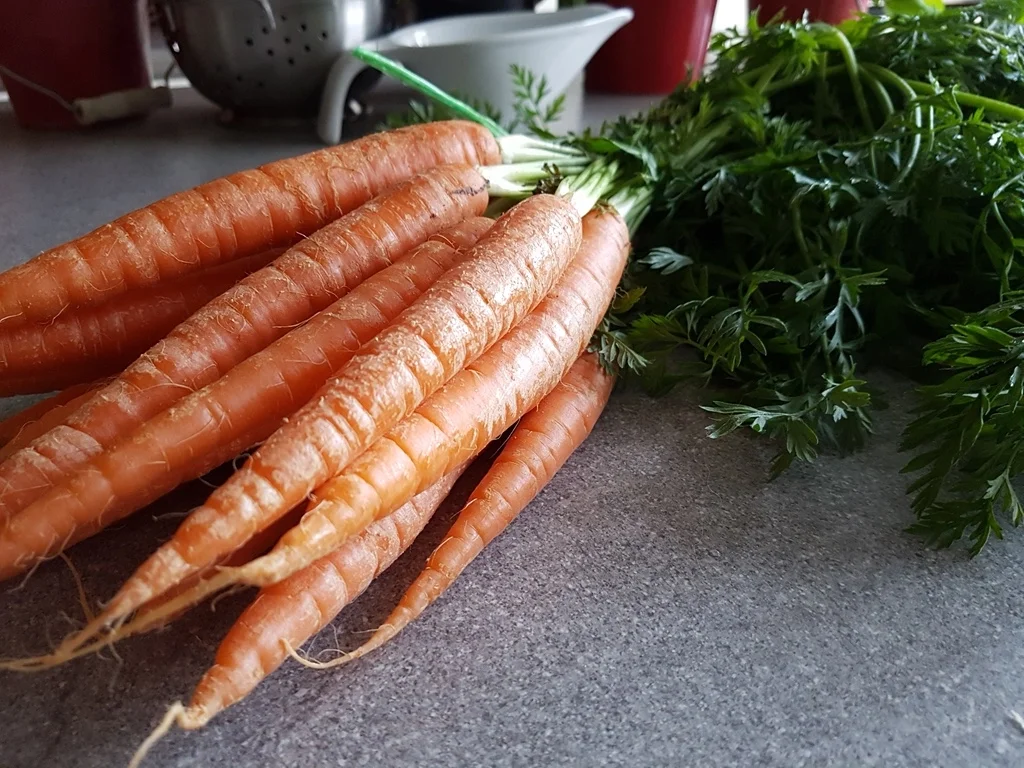 Baby oder Finger Möhren im Gewürzmantel - Rezept - Bild Nr. 2