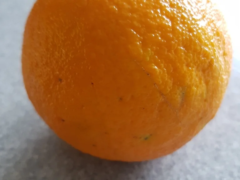 Fleisch / Schwein = dekonstruierter Krustenbraten à la Biggi - Rezept - Bild Nr. 2176