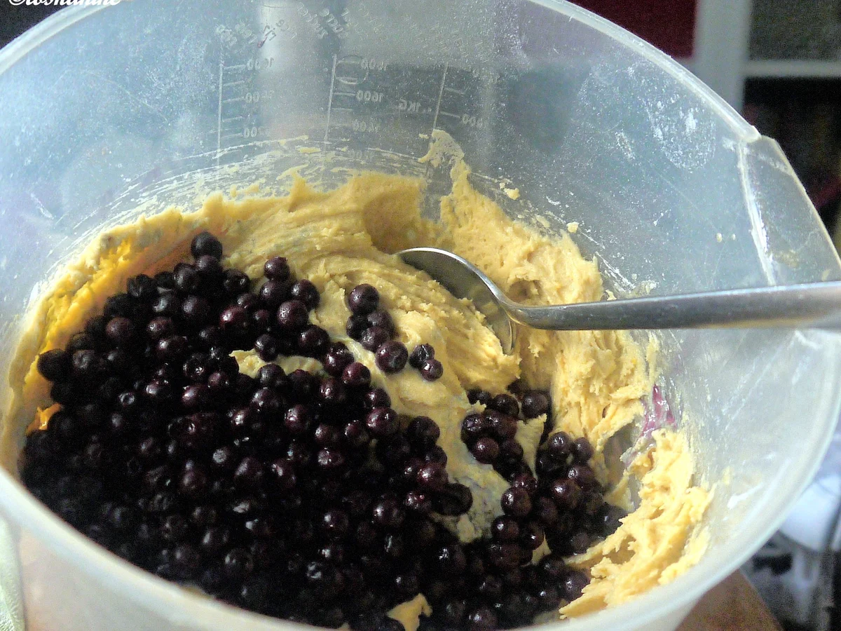 Rezept: Heidelbeer-Cupcakes Bild Nr. 2169 Heidelbeer-Cupcakes - Rezept - Bild Nr. 2169