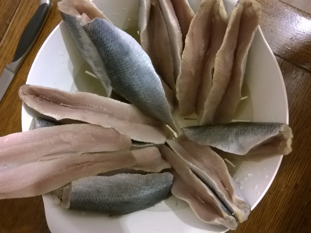 Frischer grüner Hering, Heringfilets (unbehandelt) - süß sauer eingelegt - Rezept - Bild Nr. 2167