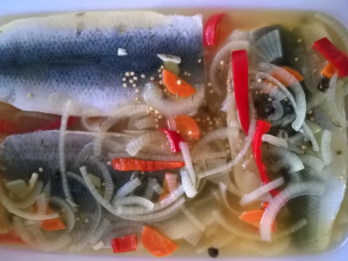 Frischer grüner Hering, Heringfilets (unbehandelt) - süß sauer eingelegt - Rezept - Bild Nr. 2169